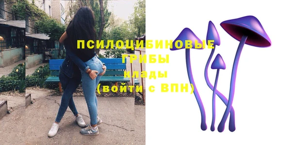 спайс Инсар