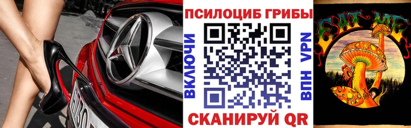 Псилоцибиновые грибы Cubensis  Нестеров 